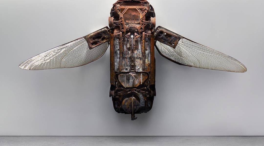 "Car Insects" by Luke Kirwan & Lyndsay Milne