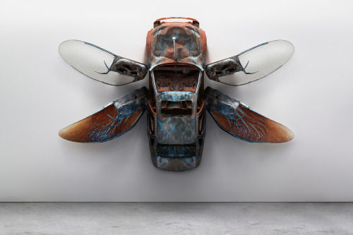 "Car Insects" by Luke Kirwan & Lyndsay Milne