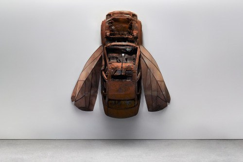 "Car Insects" by Luke Kirwan & Lyndsay Milne