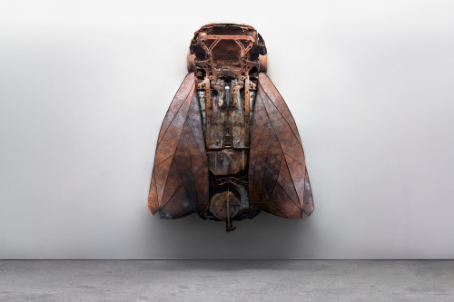 "Car Insects" by Luke Kirwan & Lyndsay Milne