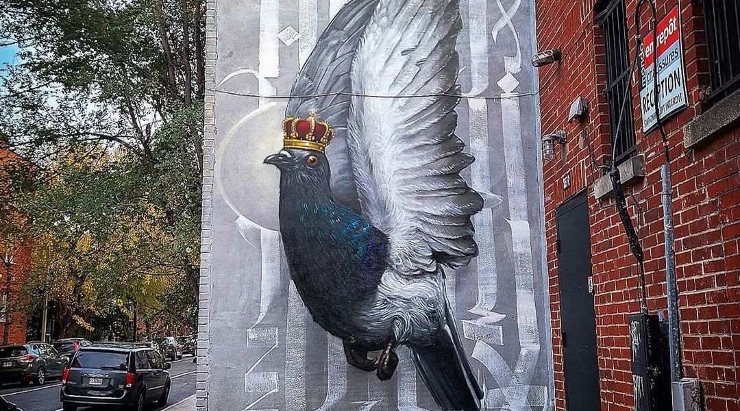 Monk.E + Turf One @ Montreal, Canada