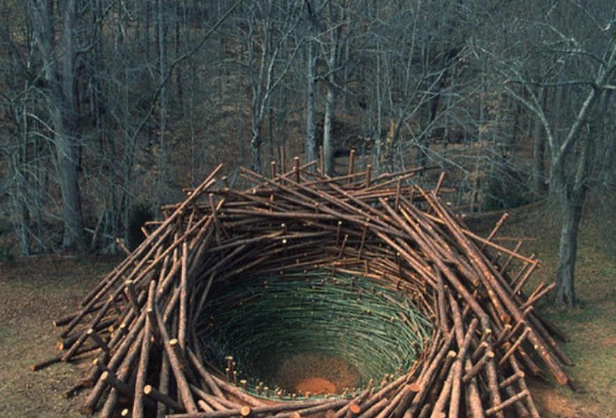 "Clemson clay nest" by Nils Udo