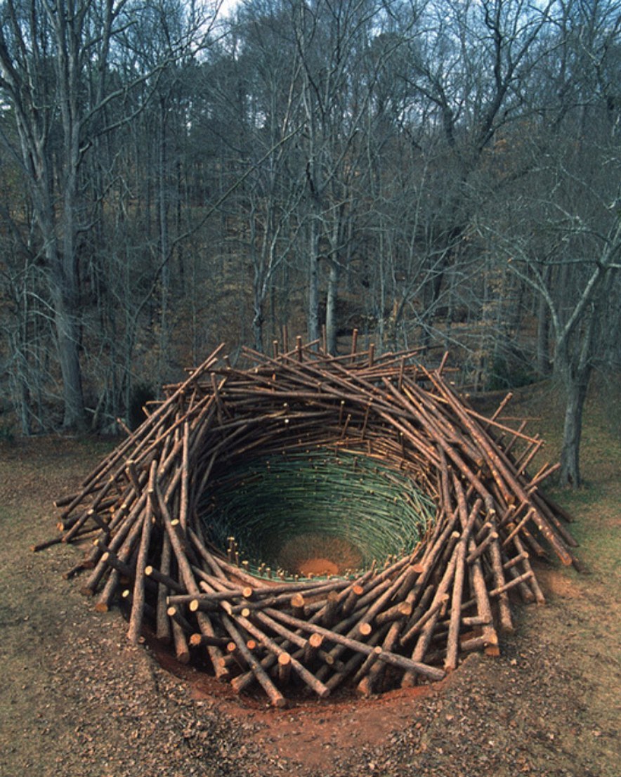 "Clemson clay nest" by Nils Udo