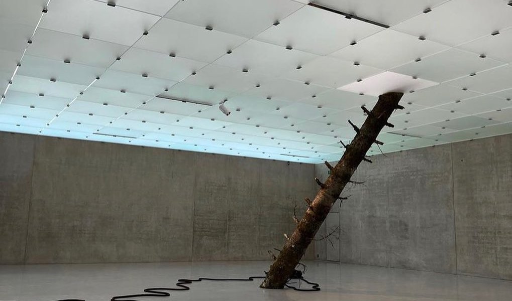 "Unearthed Midnight" by Otobong Nkanga