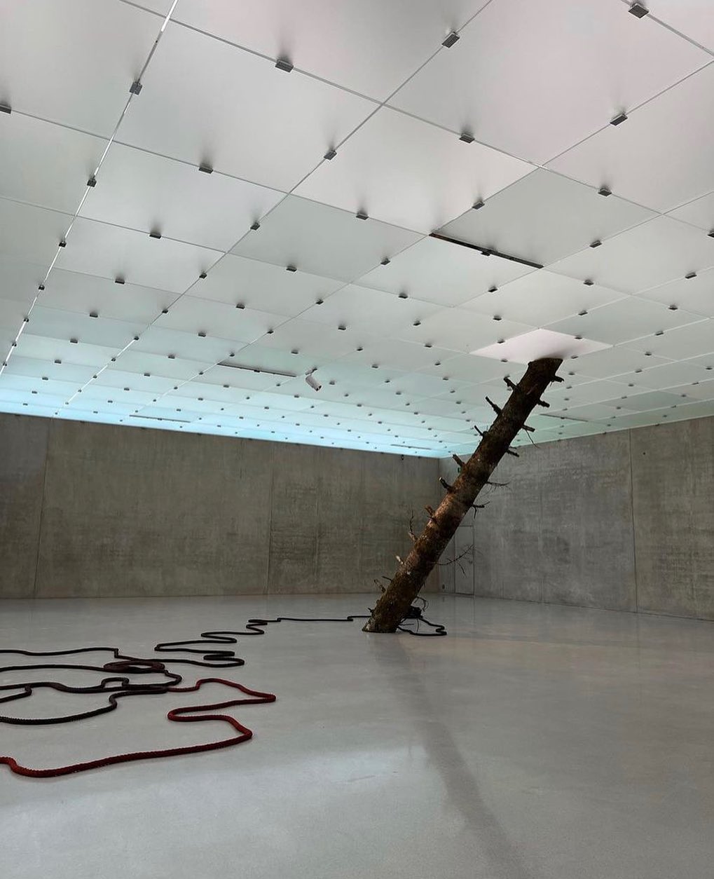 "Unearthed Midnight" by Otobong Nkanga "Unearthed Midnight" by Otobong Nkanga