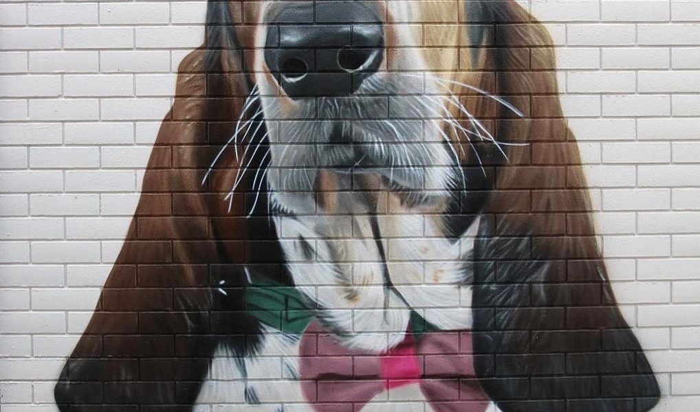 Akse P19 @ Ellesmere Port, UK