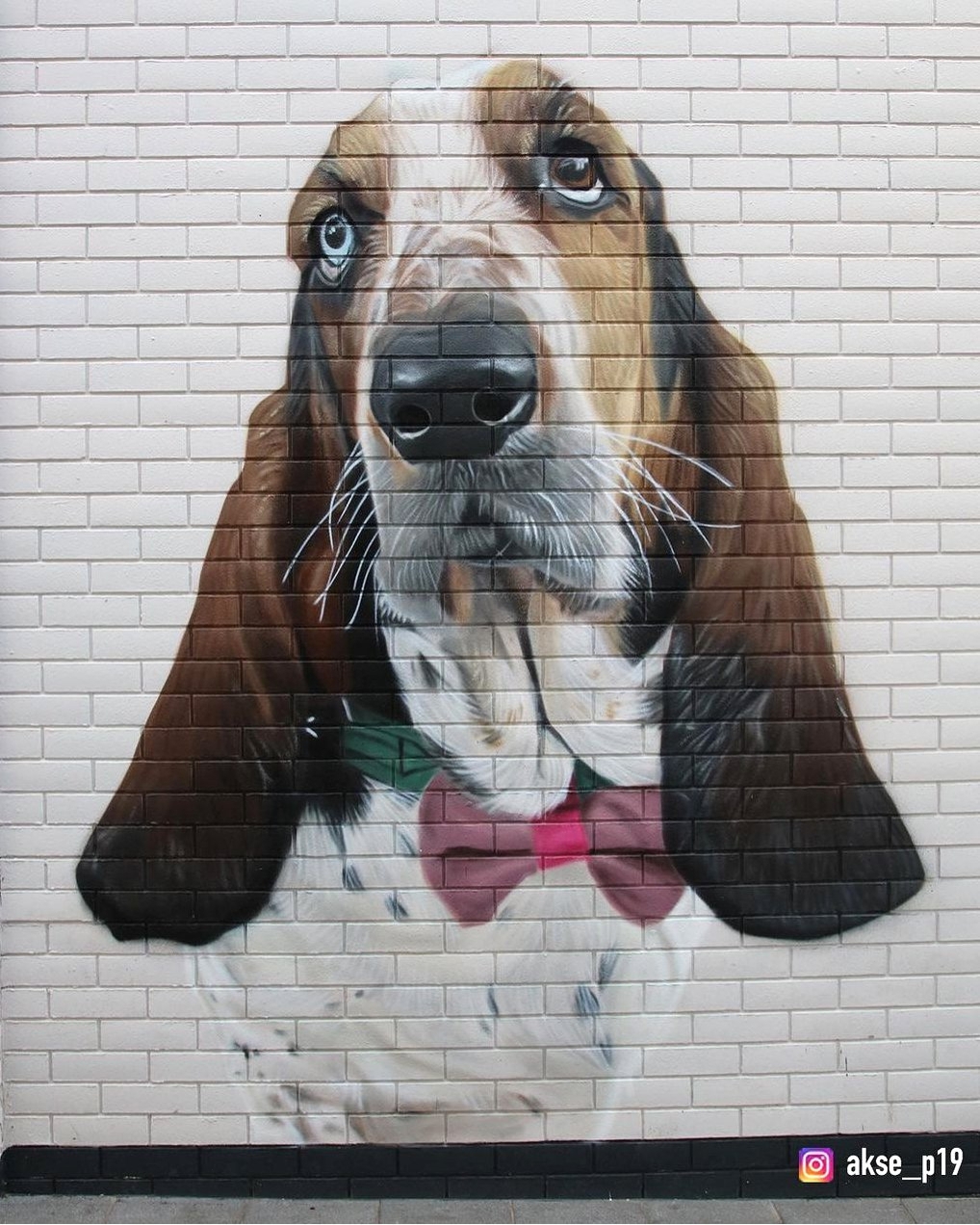 Akse P19 @ Ellesmere Port, UK