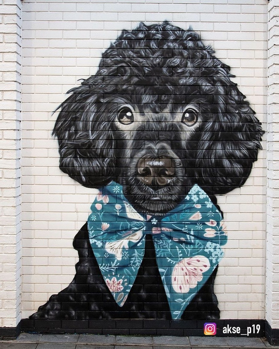 Akse P19 @ Ellesmere Port, UK