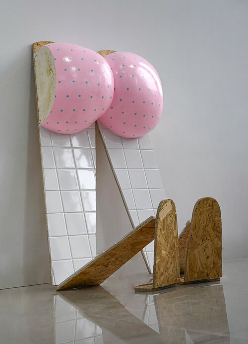 "Assumptions Assumptions" by Ally Rosenberg