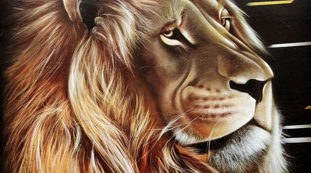 Atual Art @ Sao Paulo, Brazil