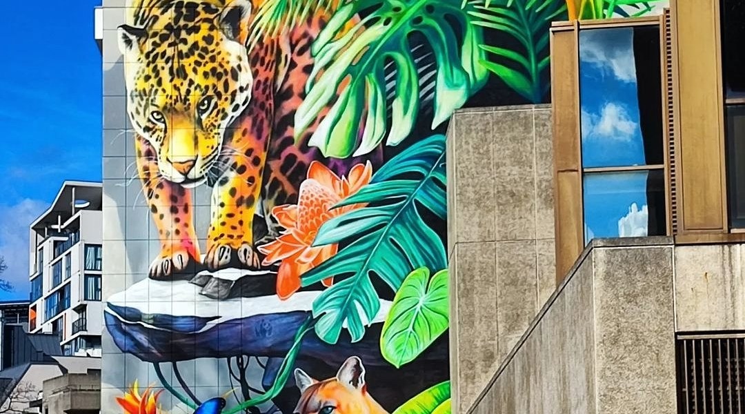 Carlosalberto GH @ Brussels, Belgium