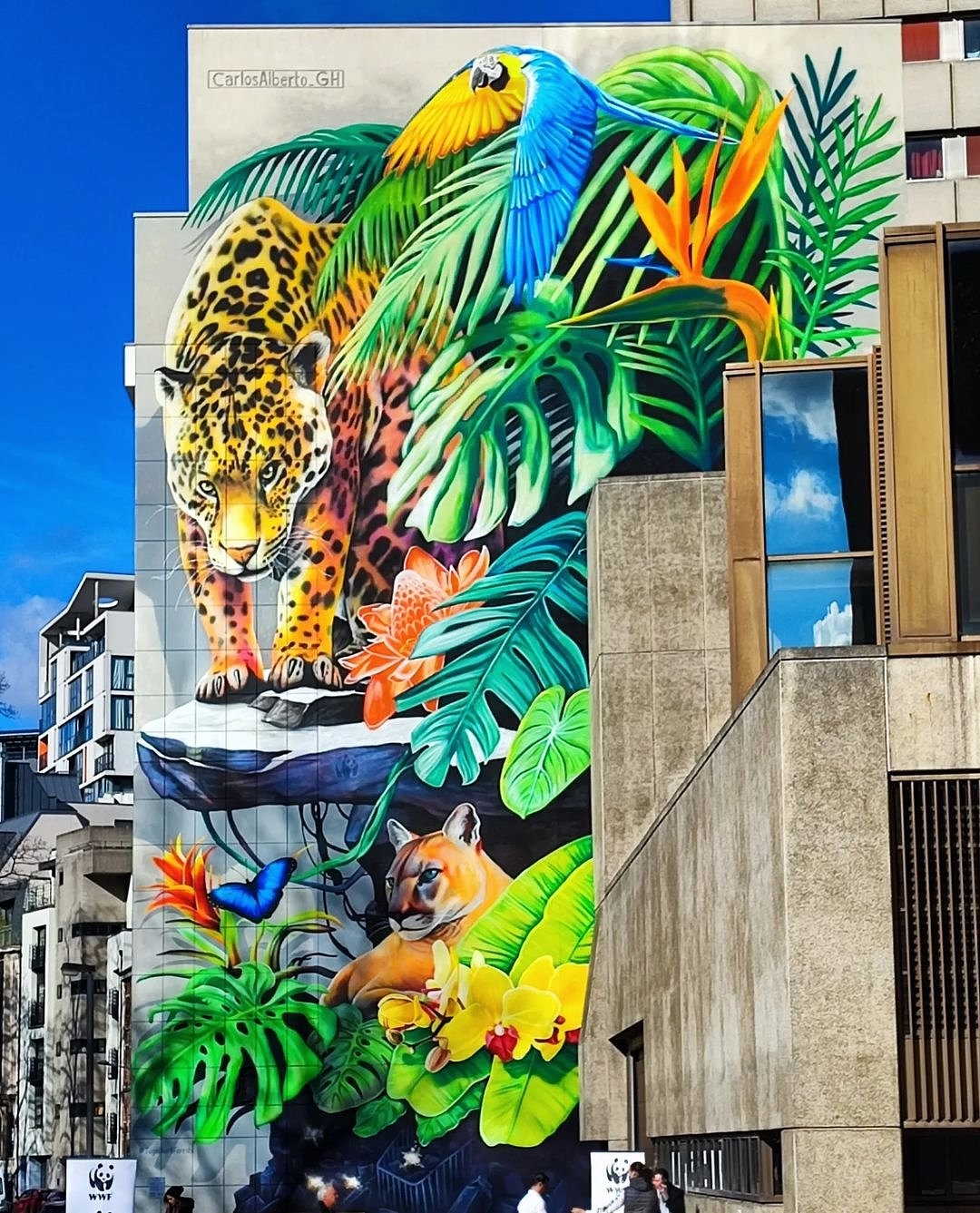 Carlosalberto GH @ Brussels, Belgium Carlosalberto GH @ Brussels, Belgium