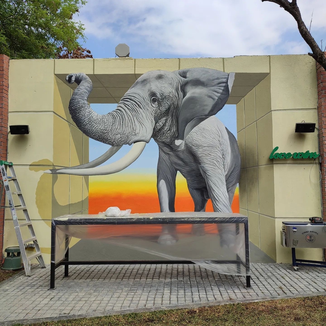 Dazer @ Monterrey, Mexico