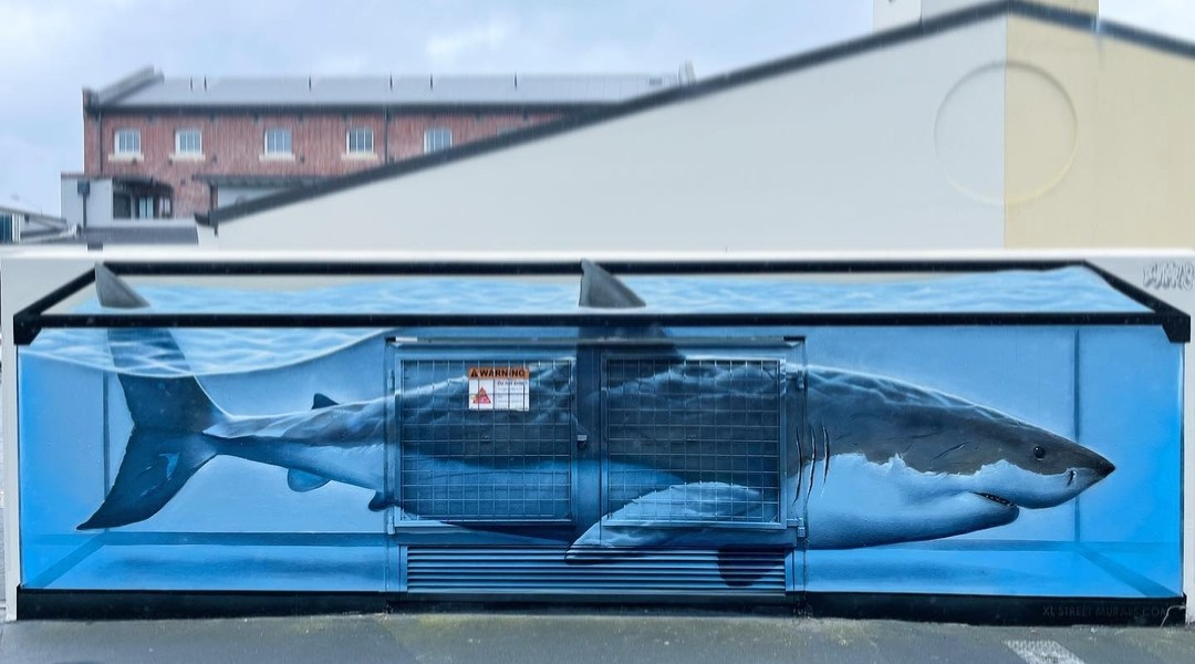 Dcypher @ New Zealand