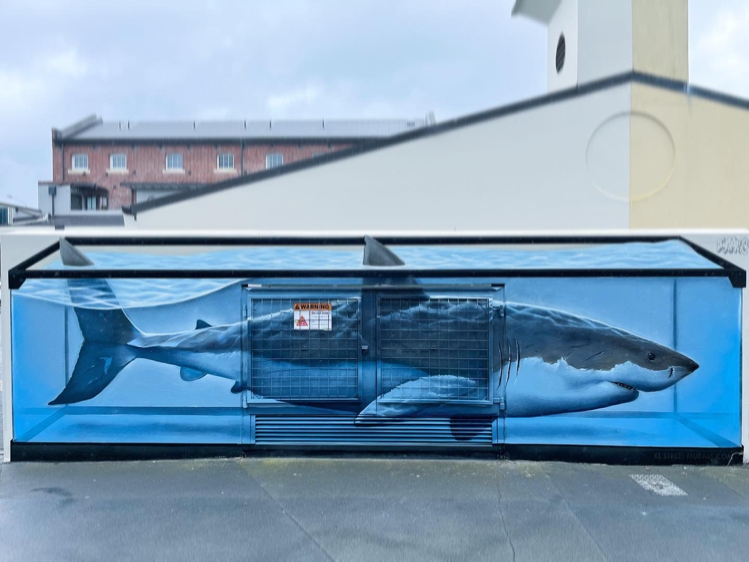 Dcypher @ New Zealand