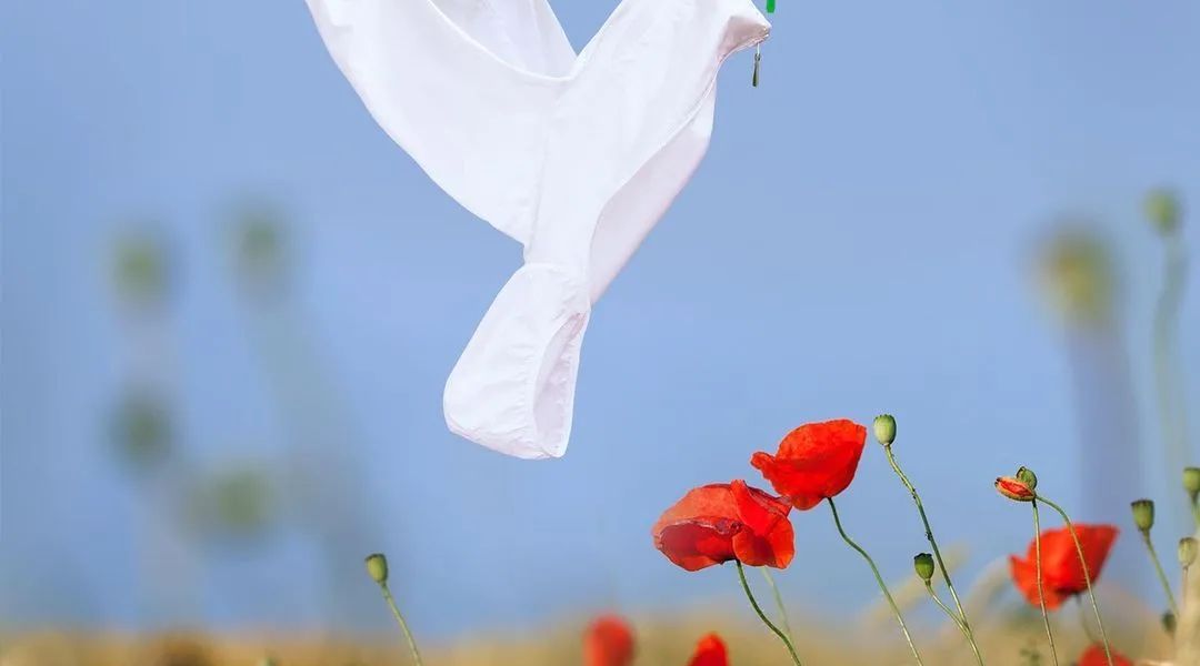 "Peace" by Helga Stentzel