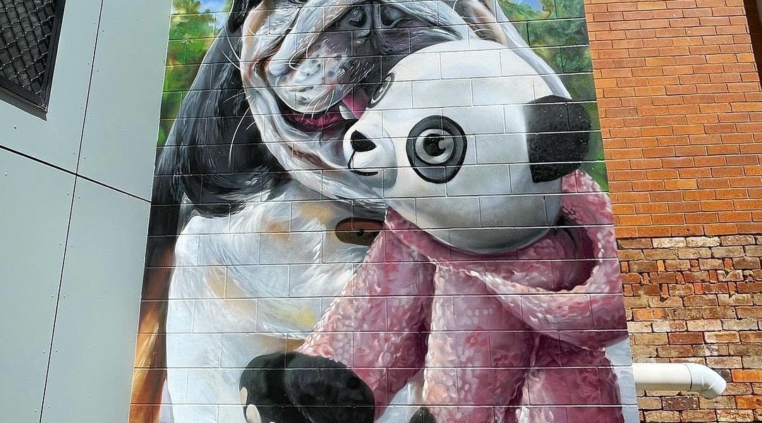 Joel Fergie @ Toowoomba, Australia