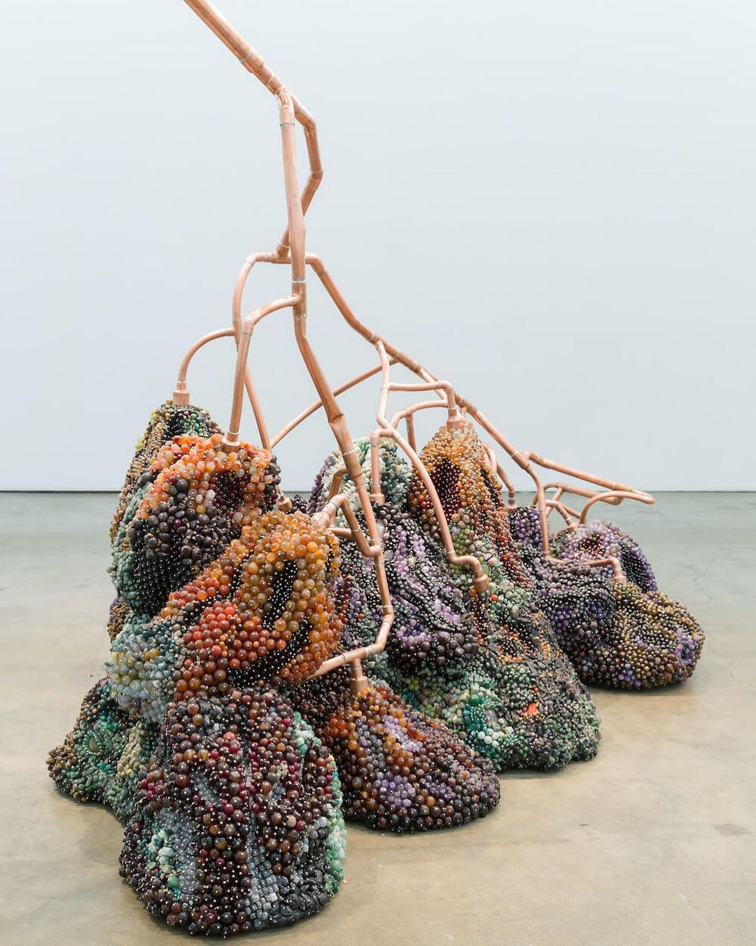 "Bad Grapes" by Kathleen Ryan