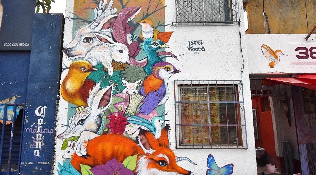 Leonel Woods @ Mexico City, Mexico