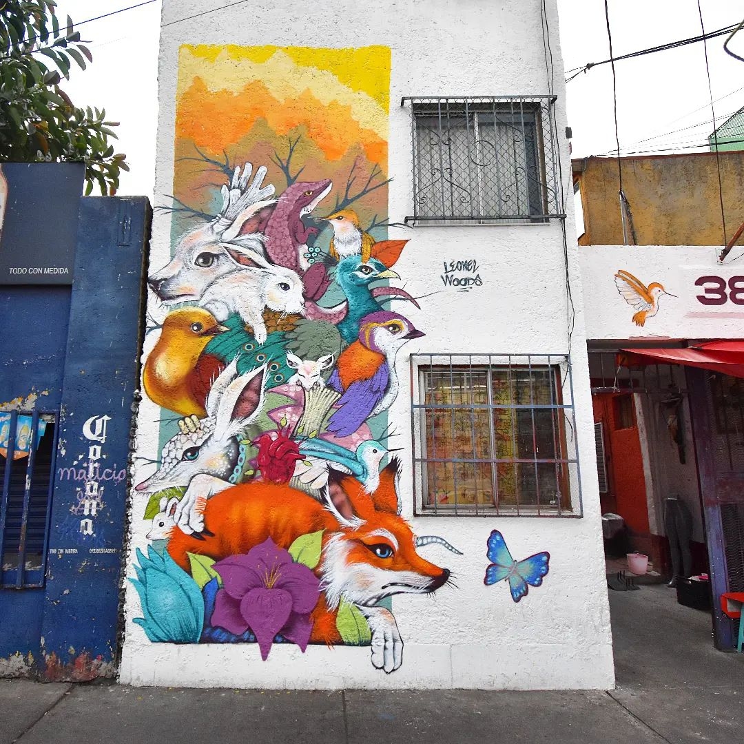 Leonel Woods @ Mexico City, Mexico