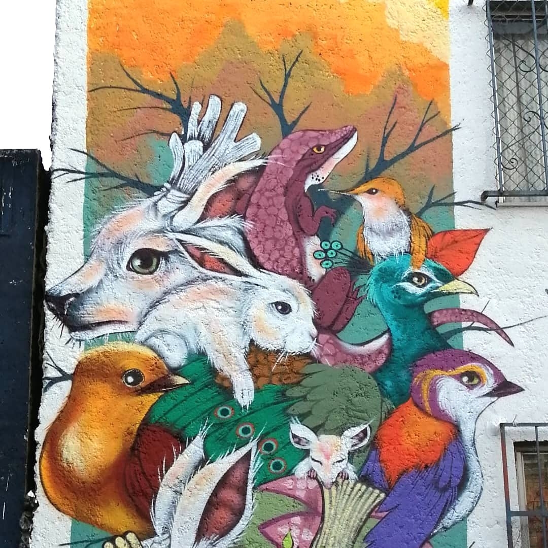 Leonel Woods @ Mexico City, Mexico