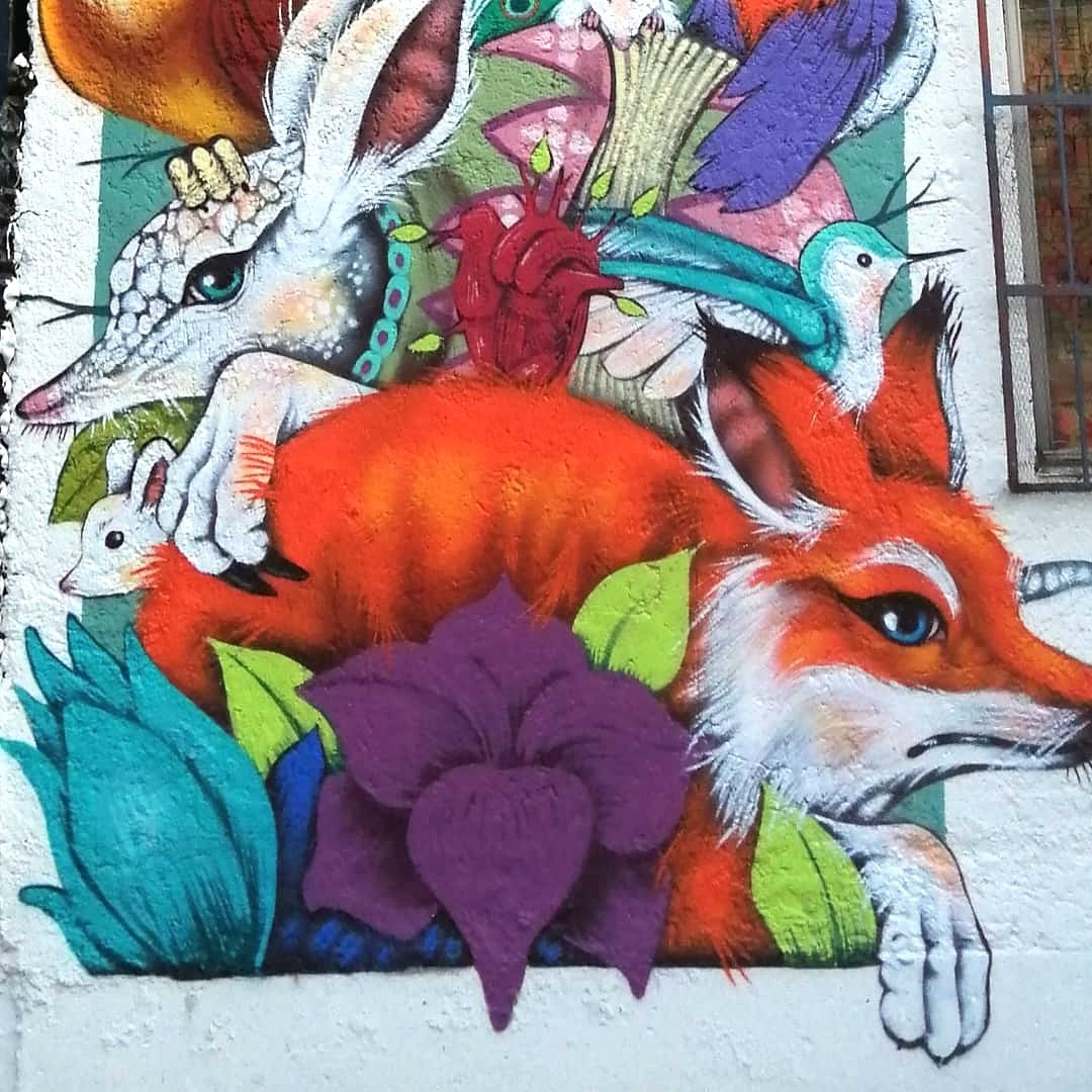 Leonel Woods @ Mexico City, Mexico