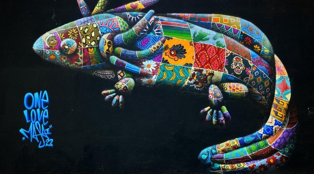 Louis Masai @ Mexico City, Mexico