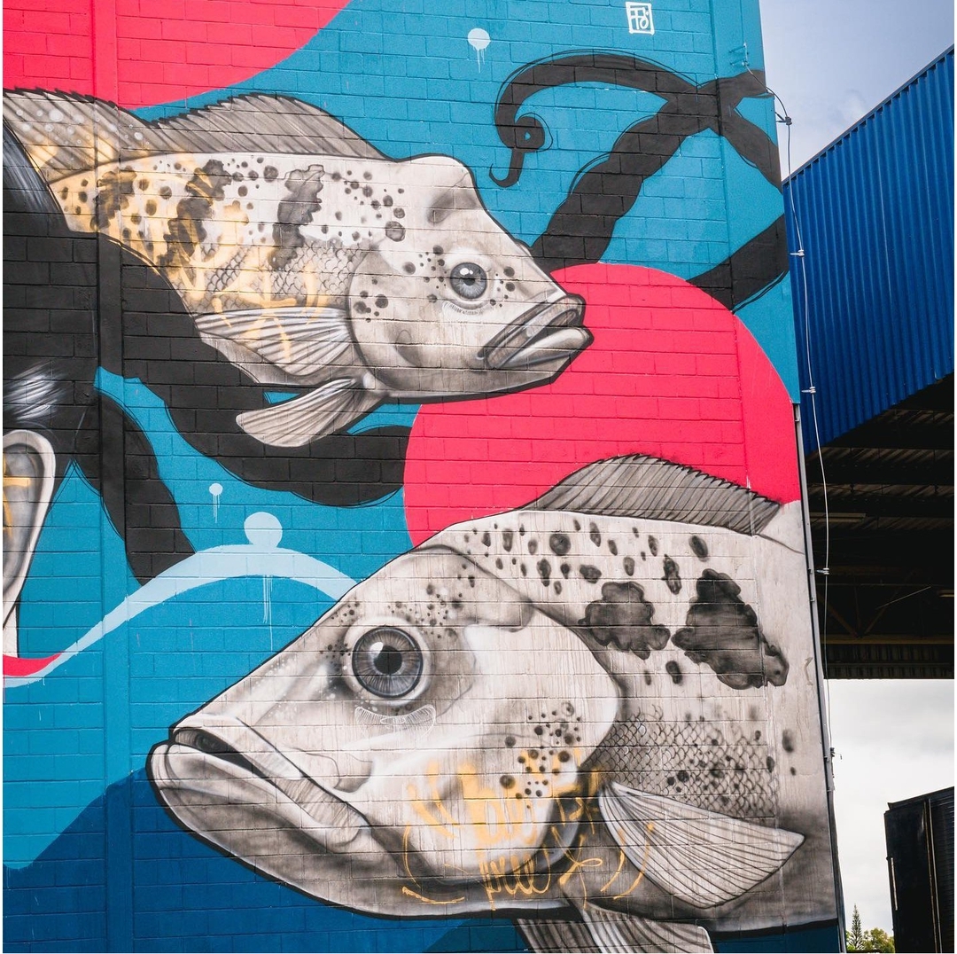 Tito Ferrara @ Rio Claro, Brazil