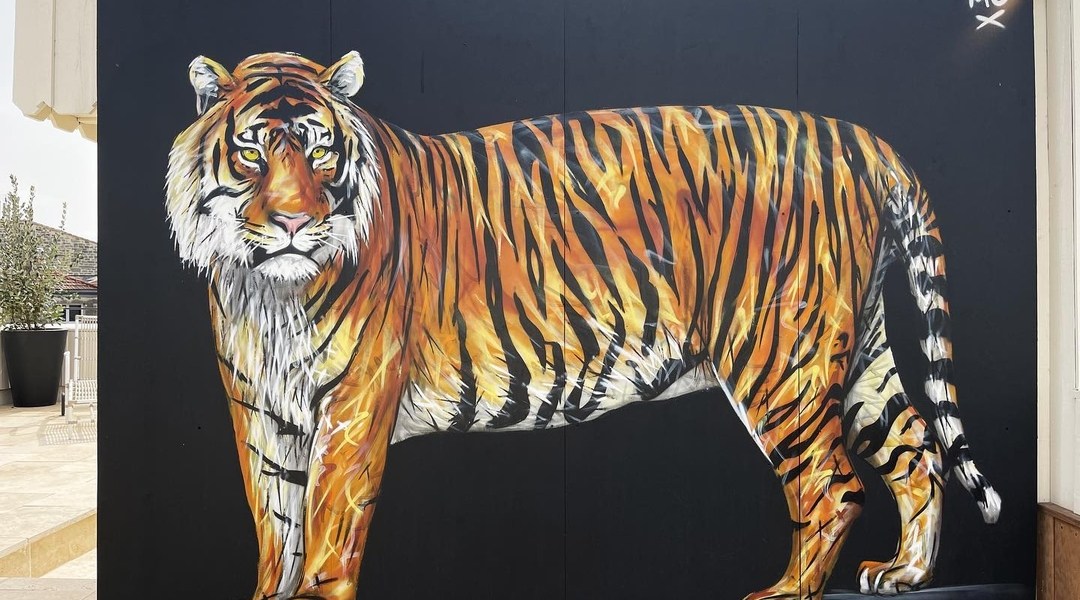 A-MO @ Bordeaux, France