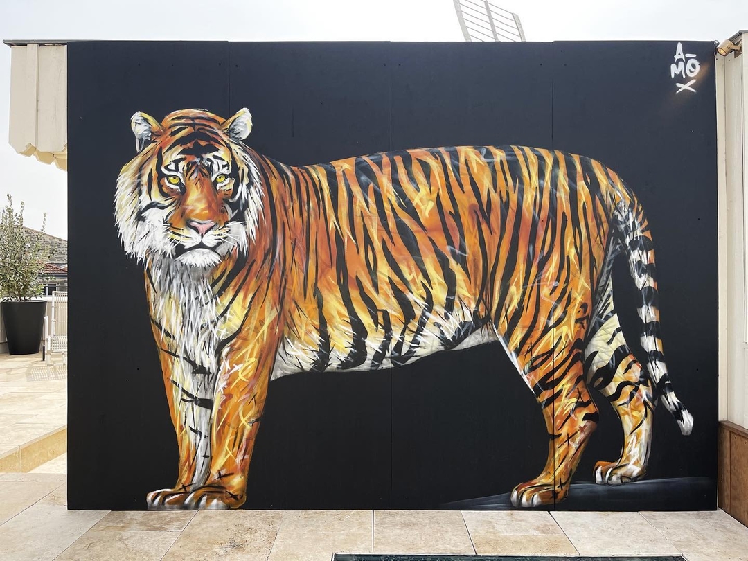 A-MO @ Bordeaux, France