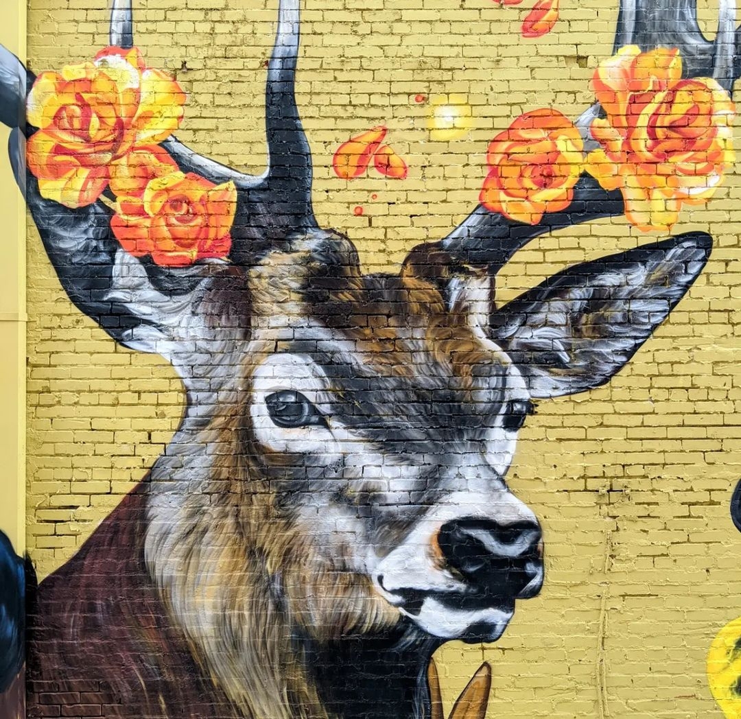 Candy Kuo @ Beaumont, Texas, USA