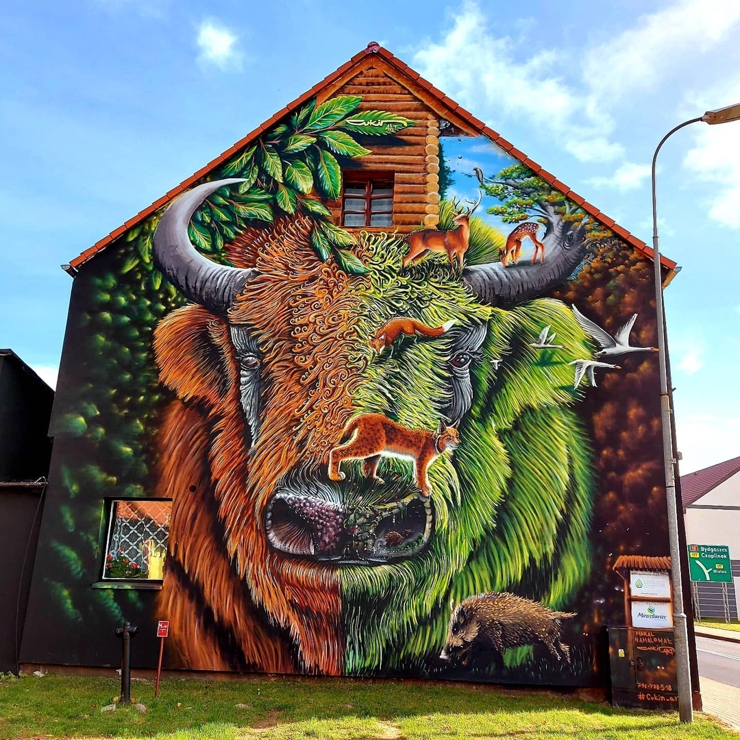 Cukin Koszalin @ Mirosławiec, Poland