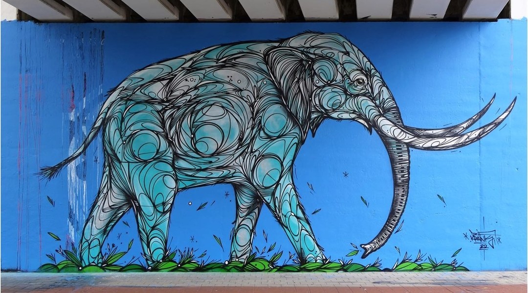 Dzia @ Duffel, Belgium