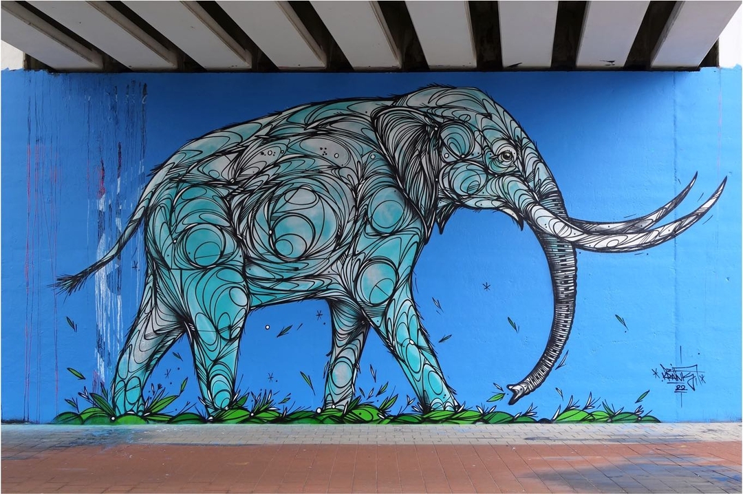 Dzia @ Duffel, Belgium