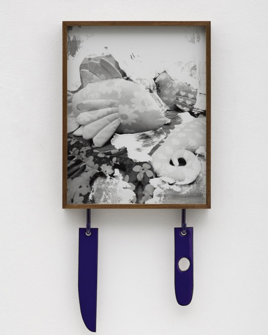 "Untitled (fish)" by Elad Lassry