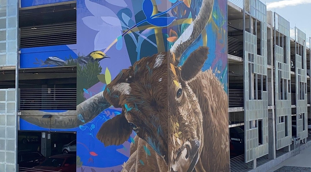 Ernesto Maranje @ Odessa, Texas, USA