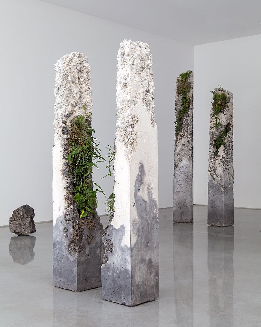 "Terraforms" by Jamie North