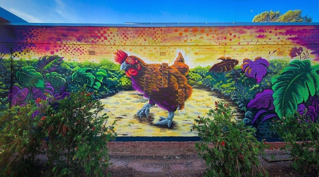 Mike Makatron @ Adelaide, Australia