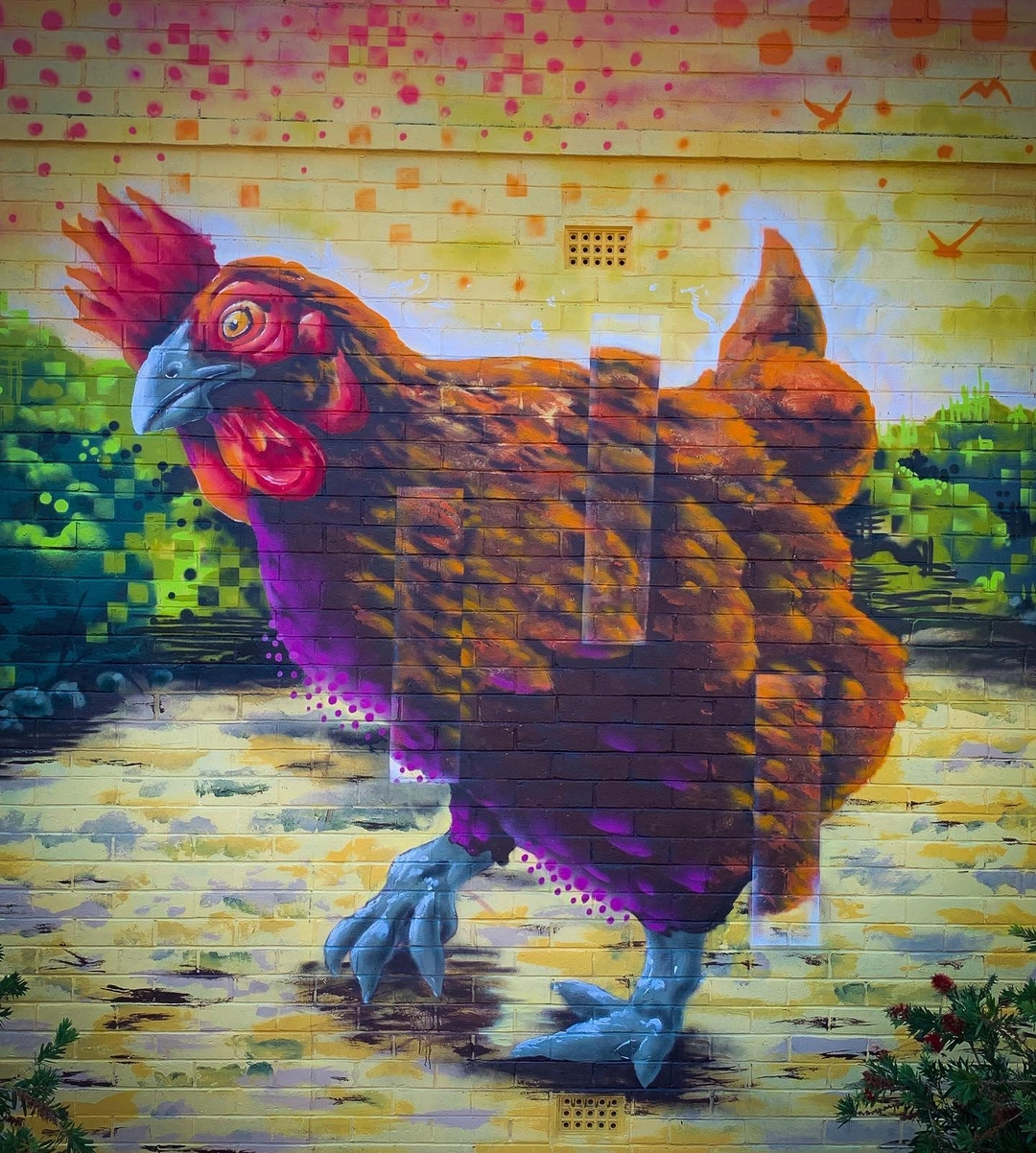 Mike Makatron @ Adelaide, Australia