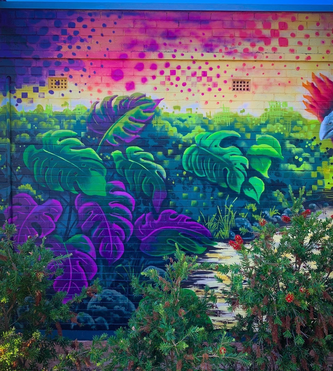 Mike Makatron @ Adelaide, Australia