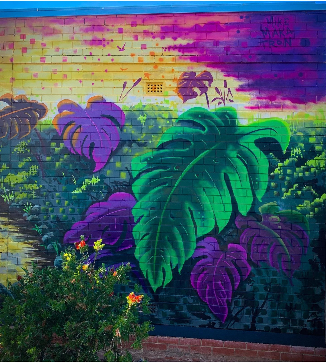 Mike Makatron @ Adelaide, Australia