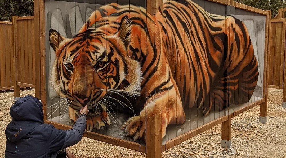 Nyota @ Larnas, France