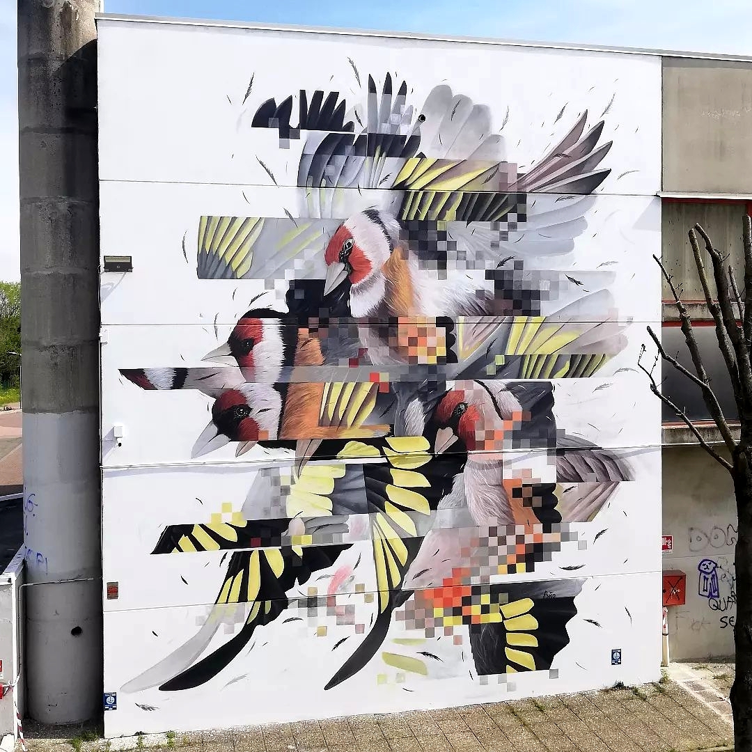 Paolo Psiko @ Montale, Italy