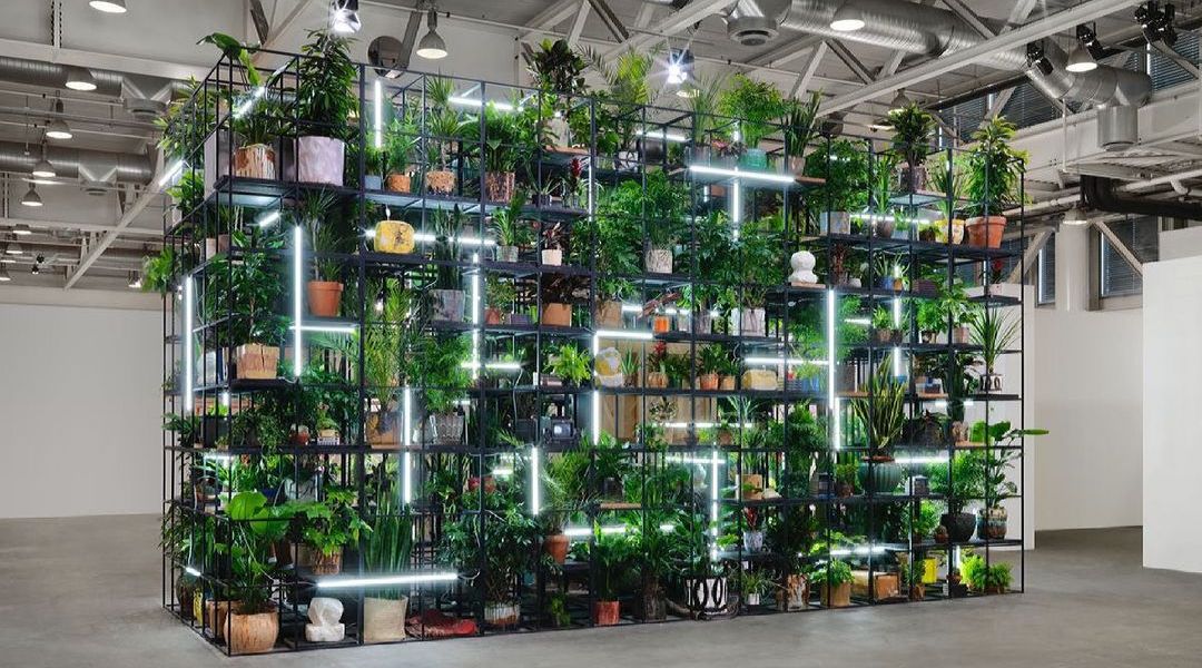 "Antoine's Organ" by Rashid Johnson