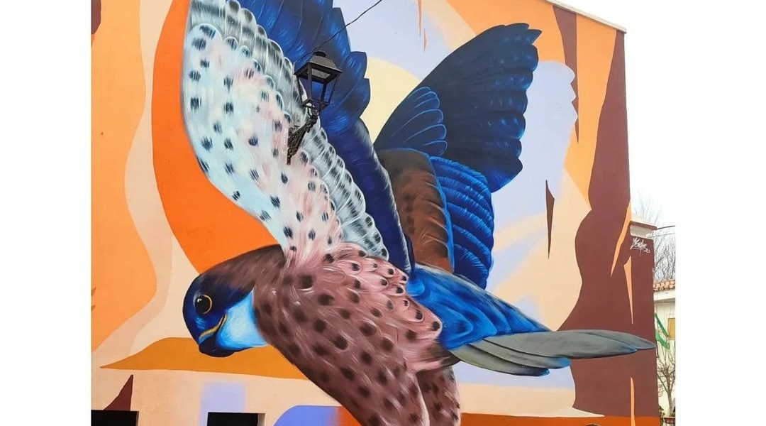 Sake Ieneka @ Luque, Spain