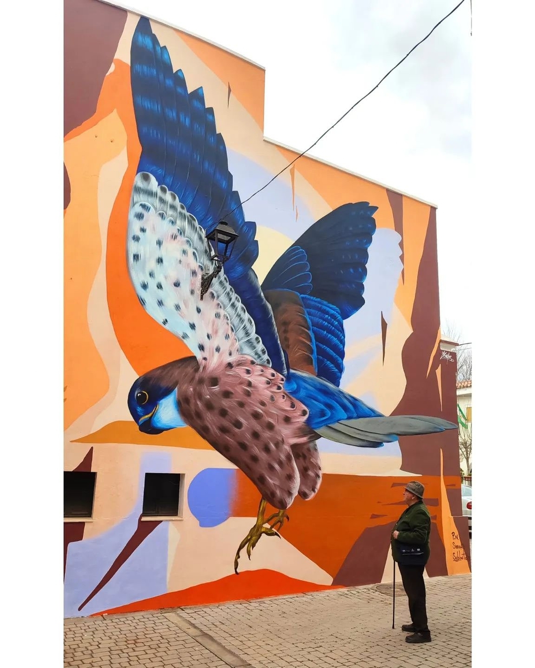 Sake Ieneka @ Luque, Spain Sake Ieneka @ Luque, Spain