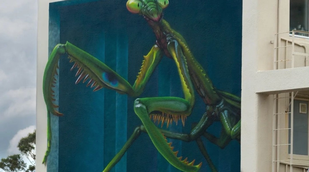 Swiftmantis @ Feilding, New Zealand