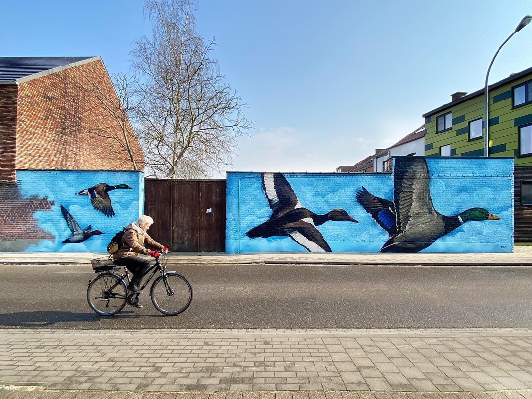 TUZQ @ Leuven, Belgium