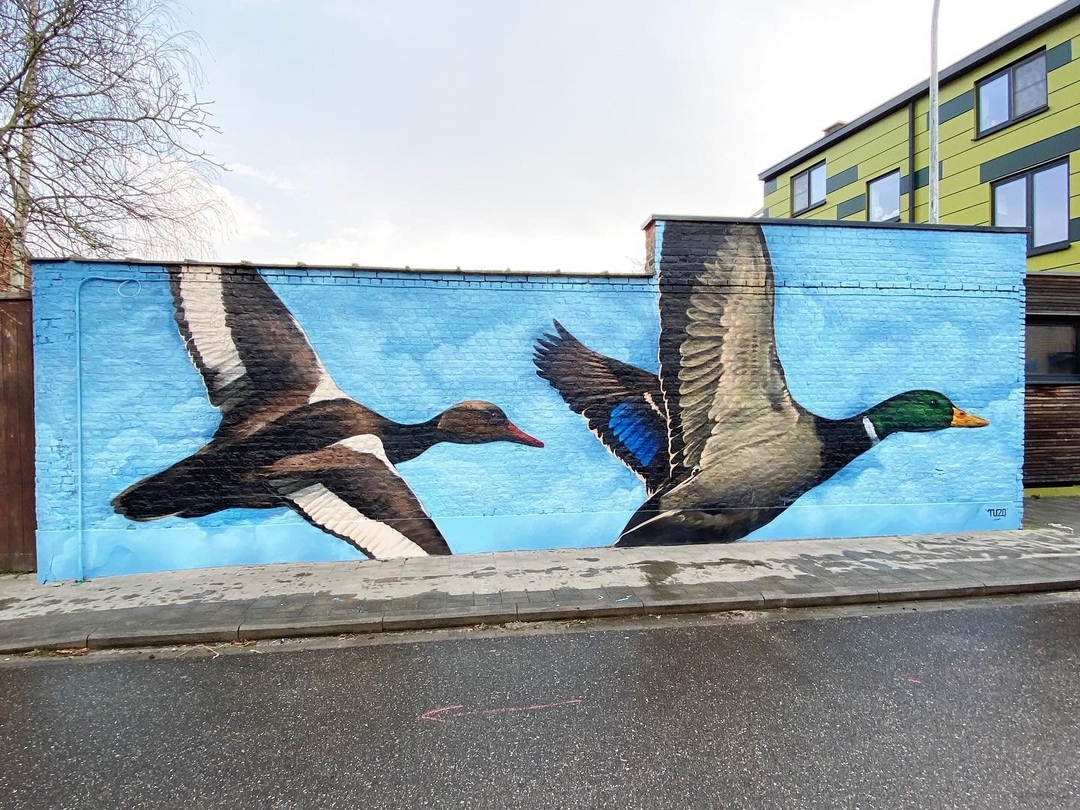 TUZQ @ Leuven, Belgium