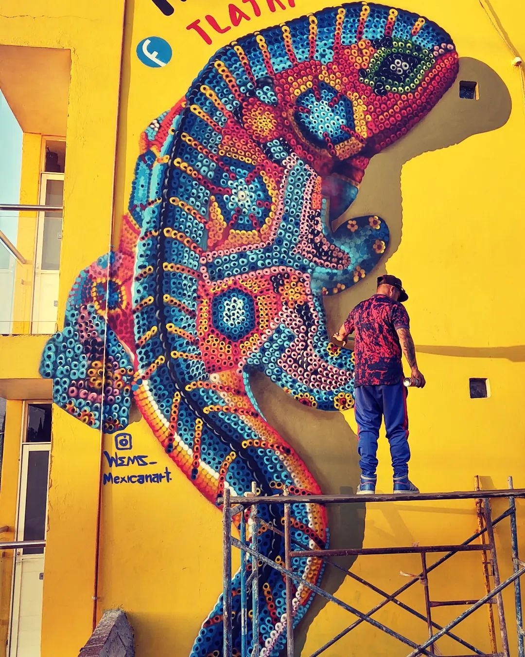 Wems @ San Martín Centro, Mexico